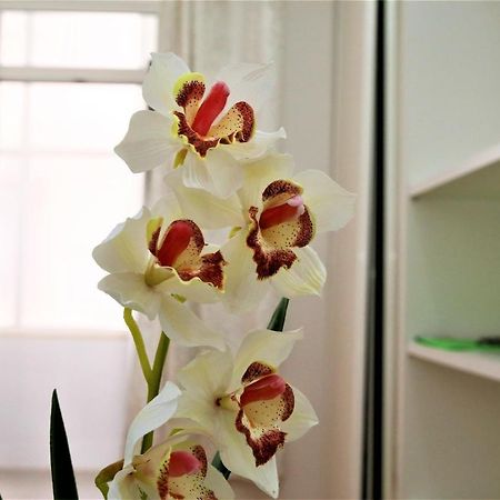 Beautiful Suite Lisbon Luaran gambar
